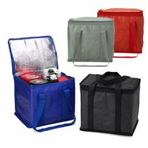 Bolsa Térmica 12 Litros - T2697